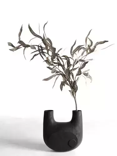 Vase with Plant