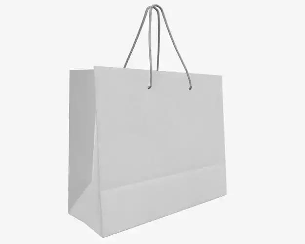 white paper bag with handle 01
