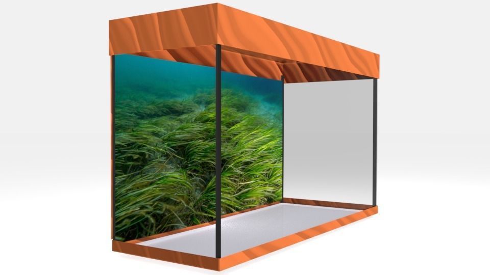 aquarium glass case with grass in it Low-poly 3D model_2