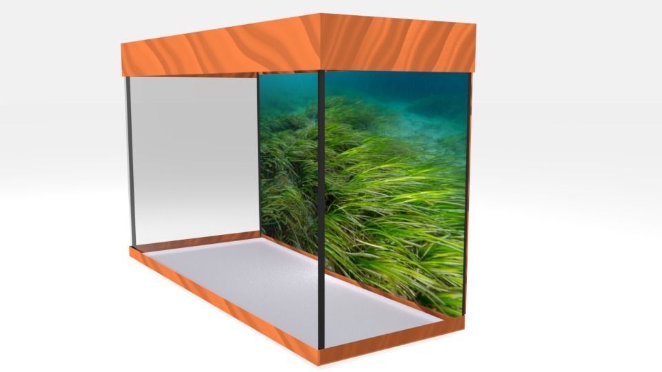 aquarium glass case with grass in it Low-poly 3D model_1