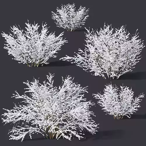 Forsythia Nr9 -Winter - 7 sizes 3D model