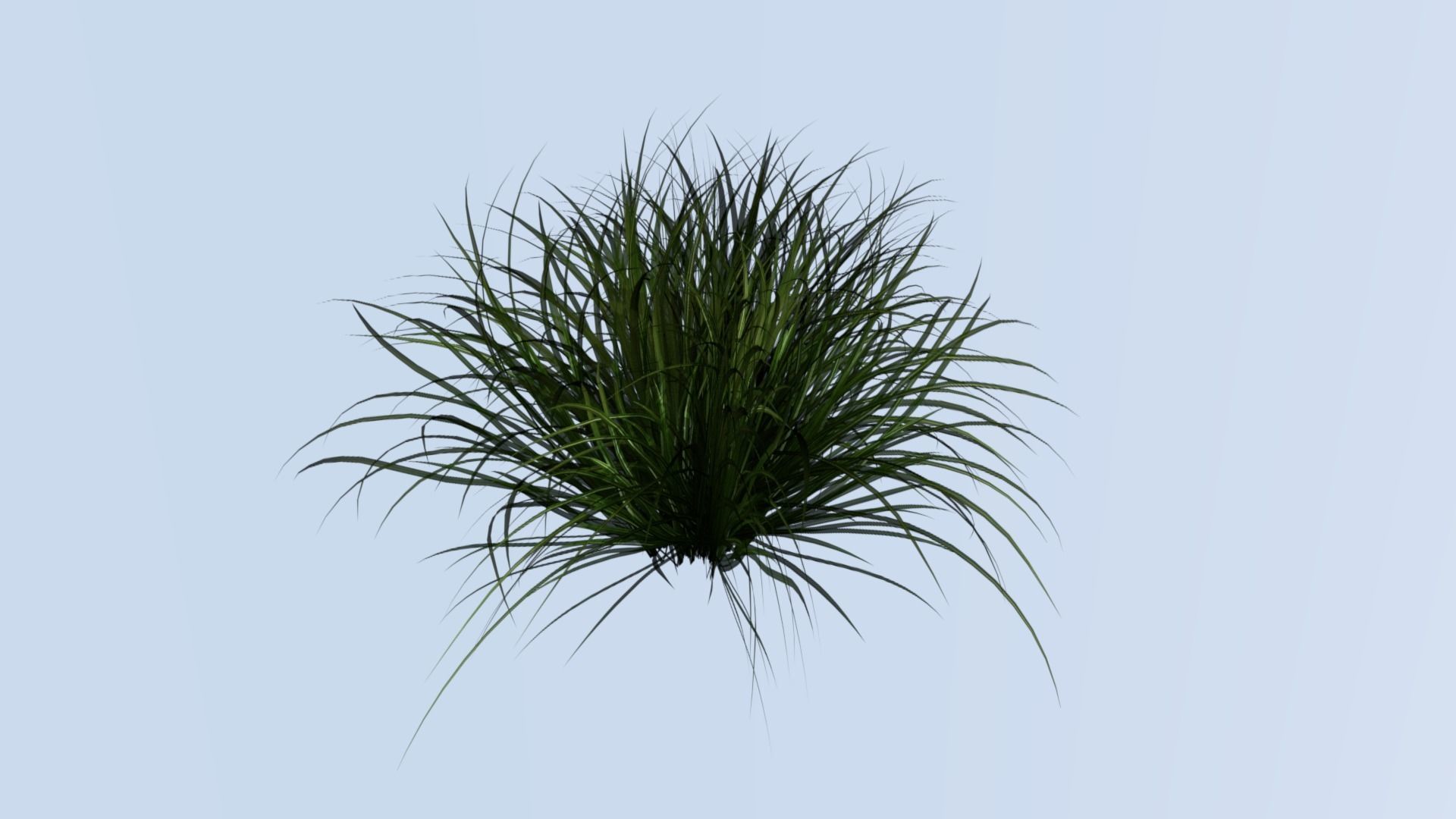 Lowpoly grass model 1 plant Free low-poly 3D model_2
