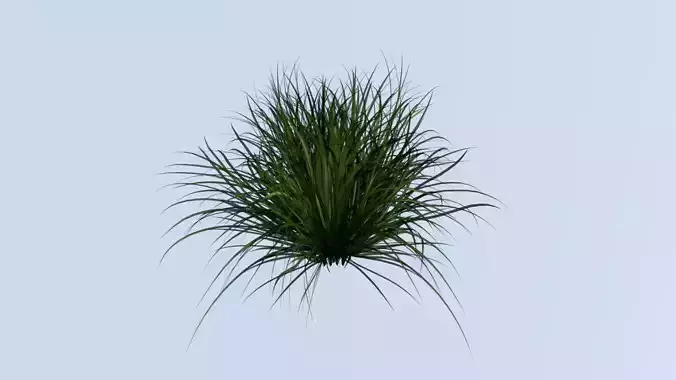 Lowpoly grass model 1 plant Free low-poly 3D model
