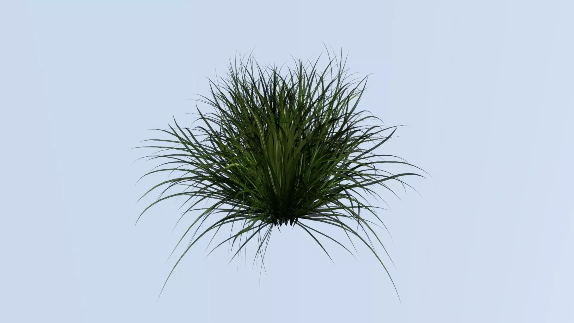 Lowpoly grass model 1 plant Free low-poly 3D model_0