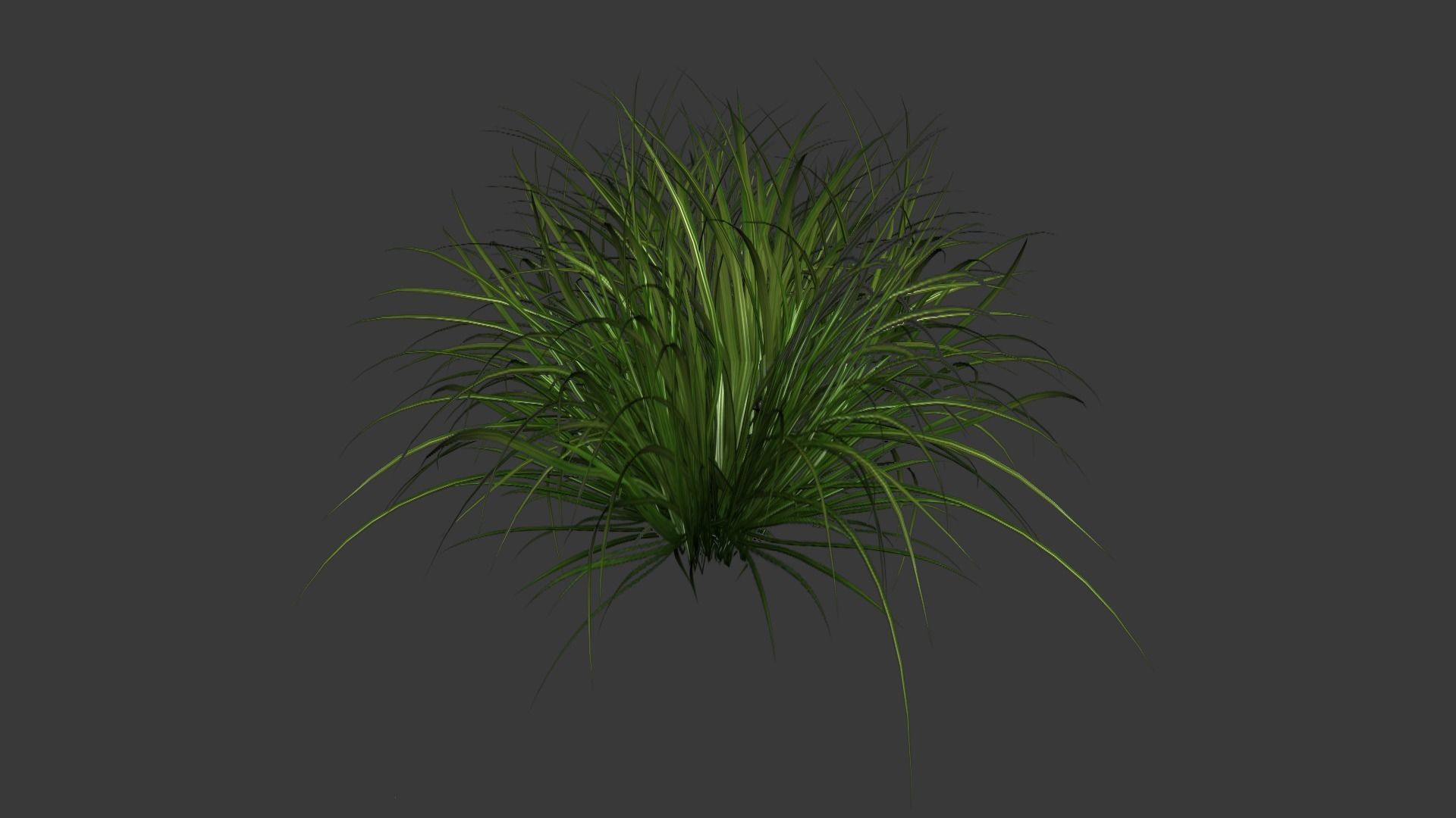 Lowpoly grass model 1 plant Free low-poly 3D model_4