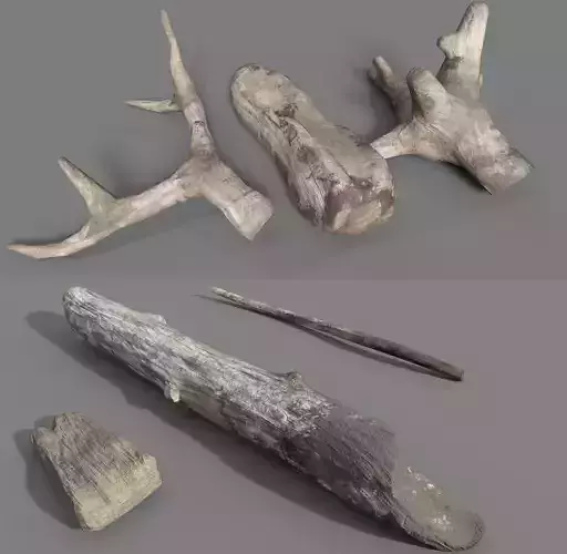 Driftwoods - Game Ready - PBR wooden stick Low-poly 3D model