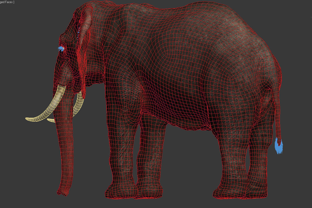 Elephant walk 3D model_6