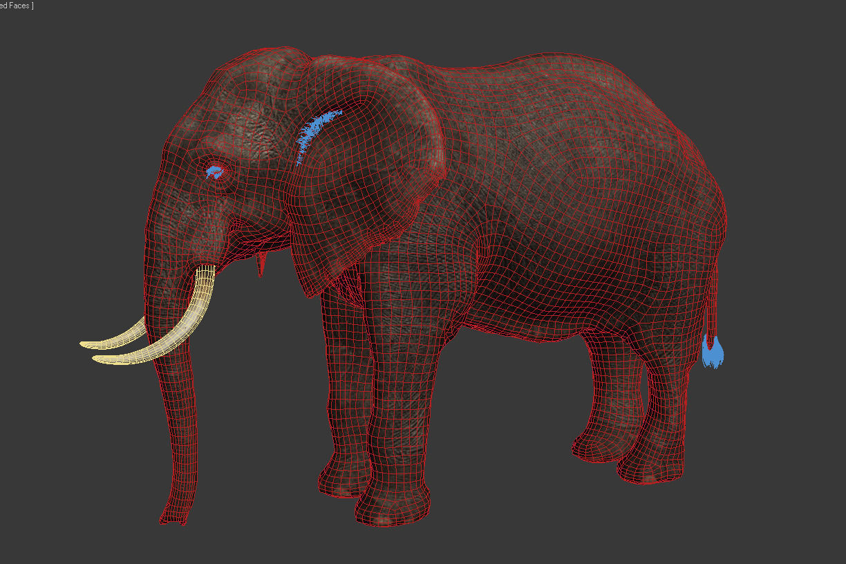 Elephant walk 3D model_5