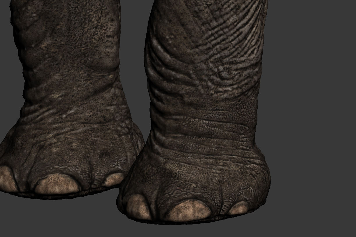 Elephant walk 3D model_7