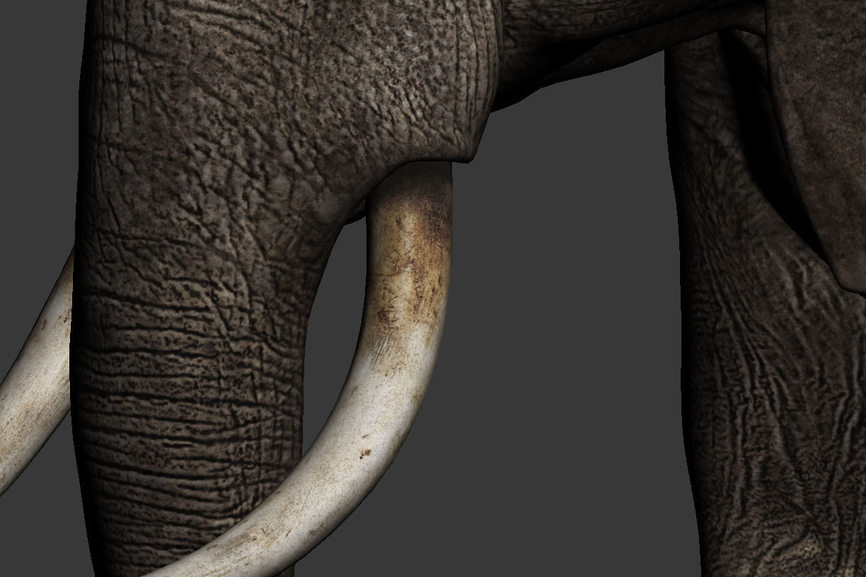 Elephant walk 3D model_3
