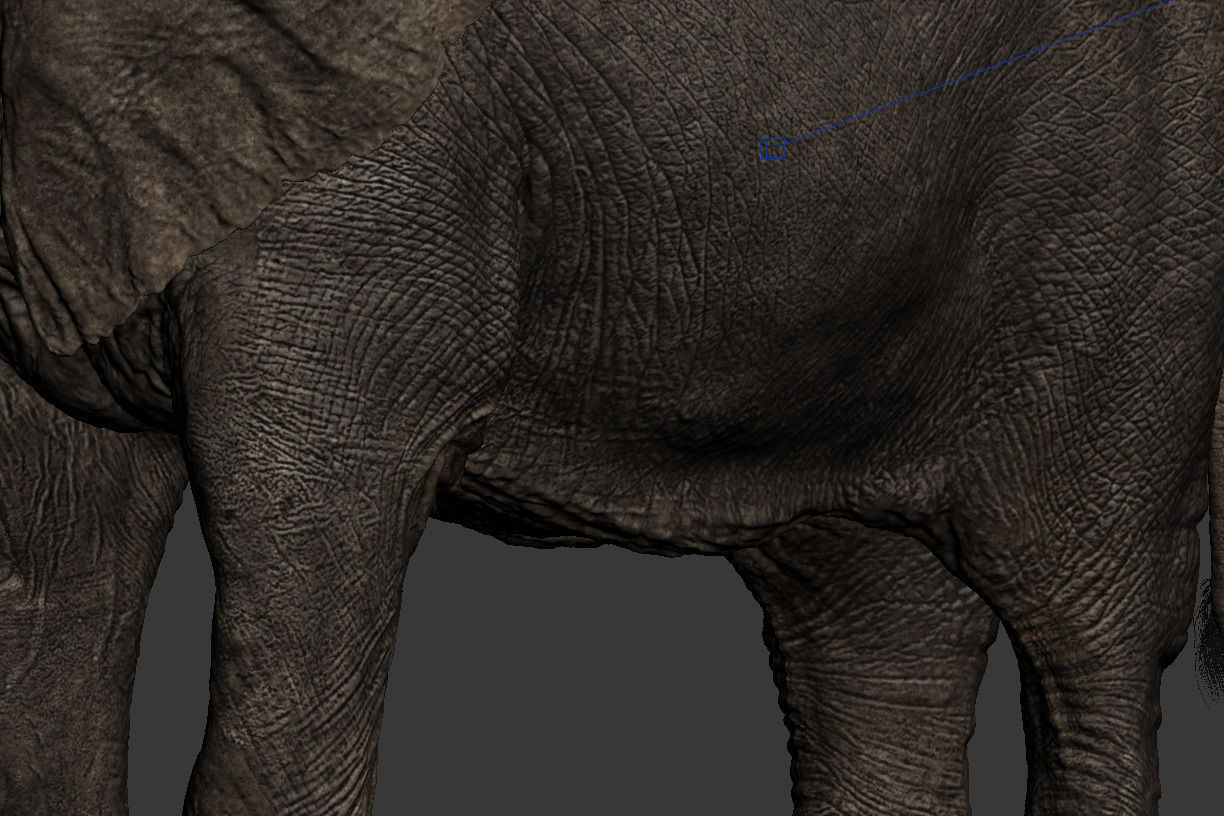 Elephant walk 3D model_9