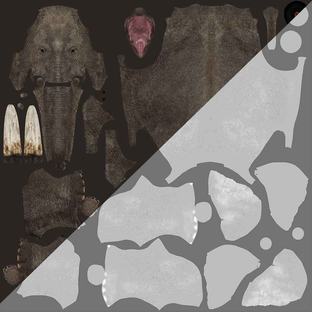 Elephant walk 3D model_4