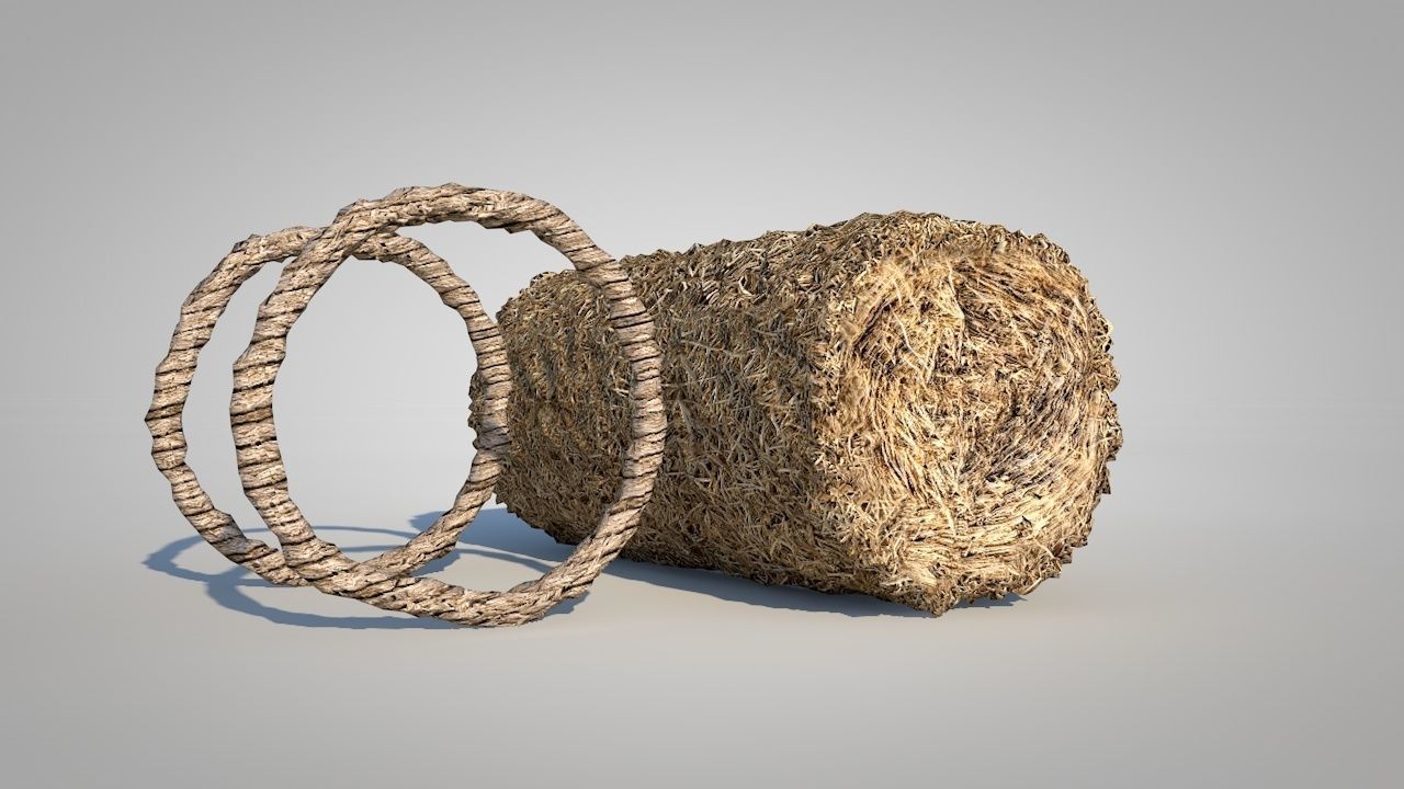 Straw Bales Low-poly 3D model_5