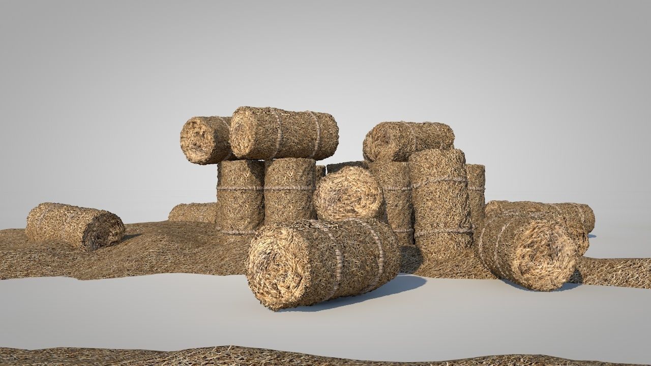 Straw Bales Low-poly 3D model_14