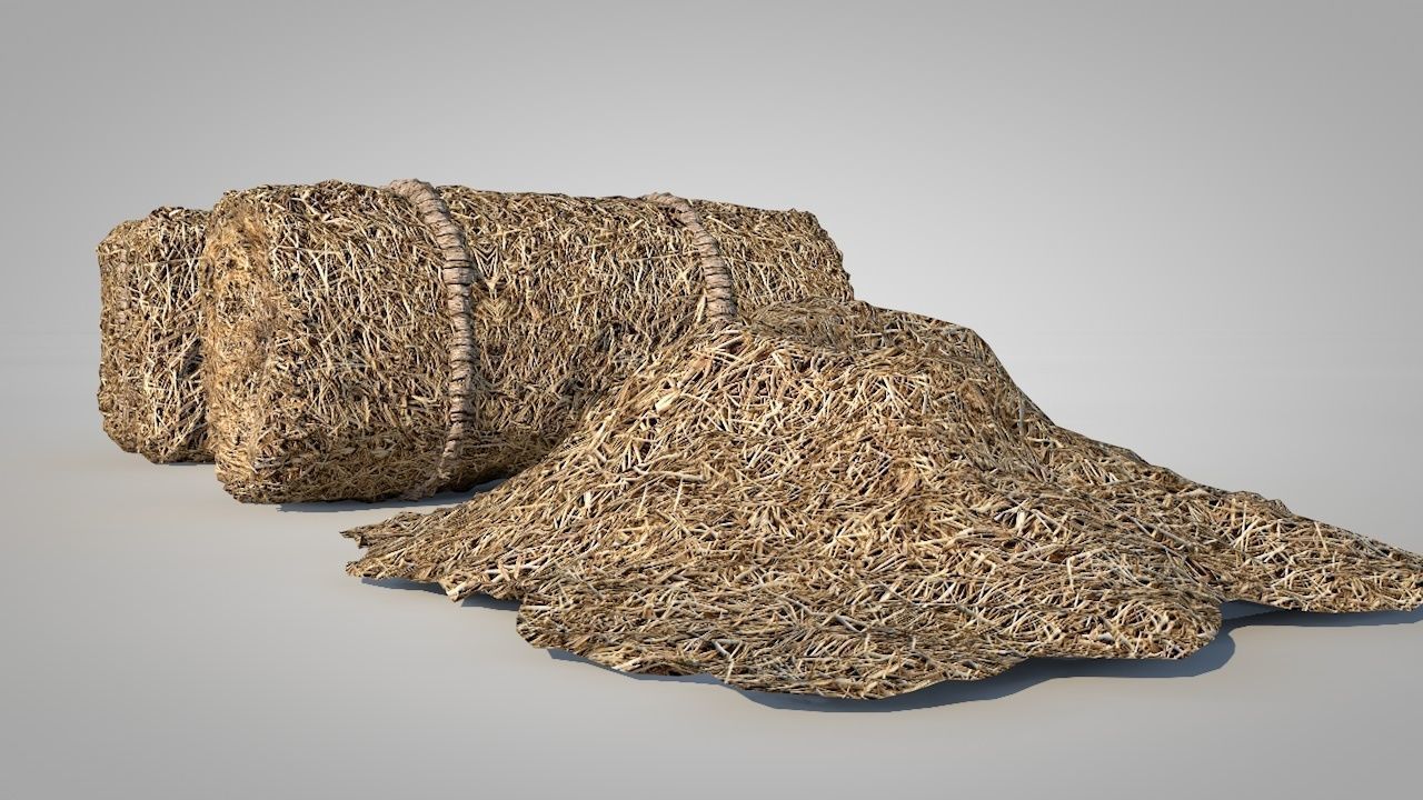 Straw Bales Low-poly 3D model_2
