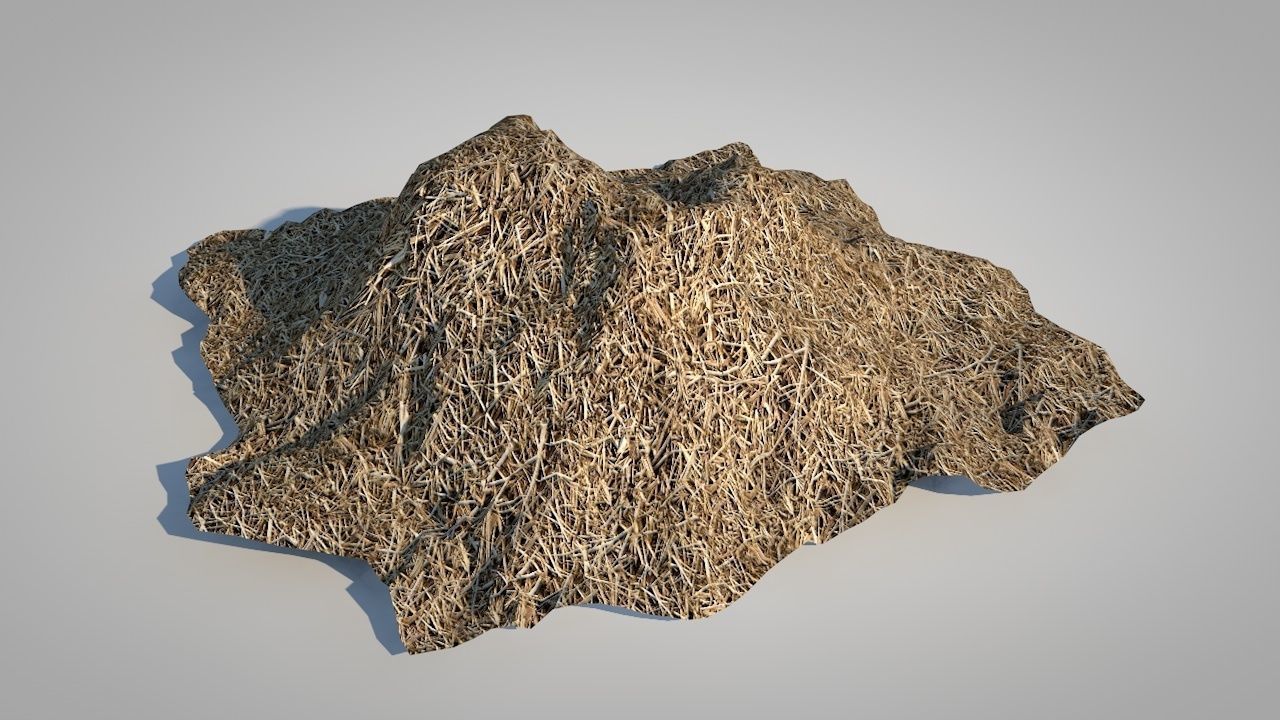 Straw Bales Low-poly 3D model_7