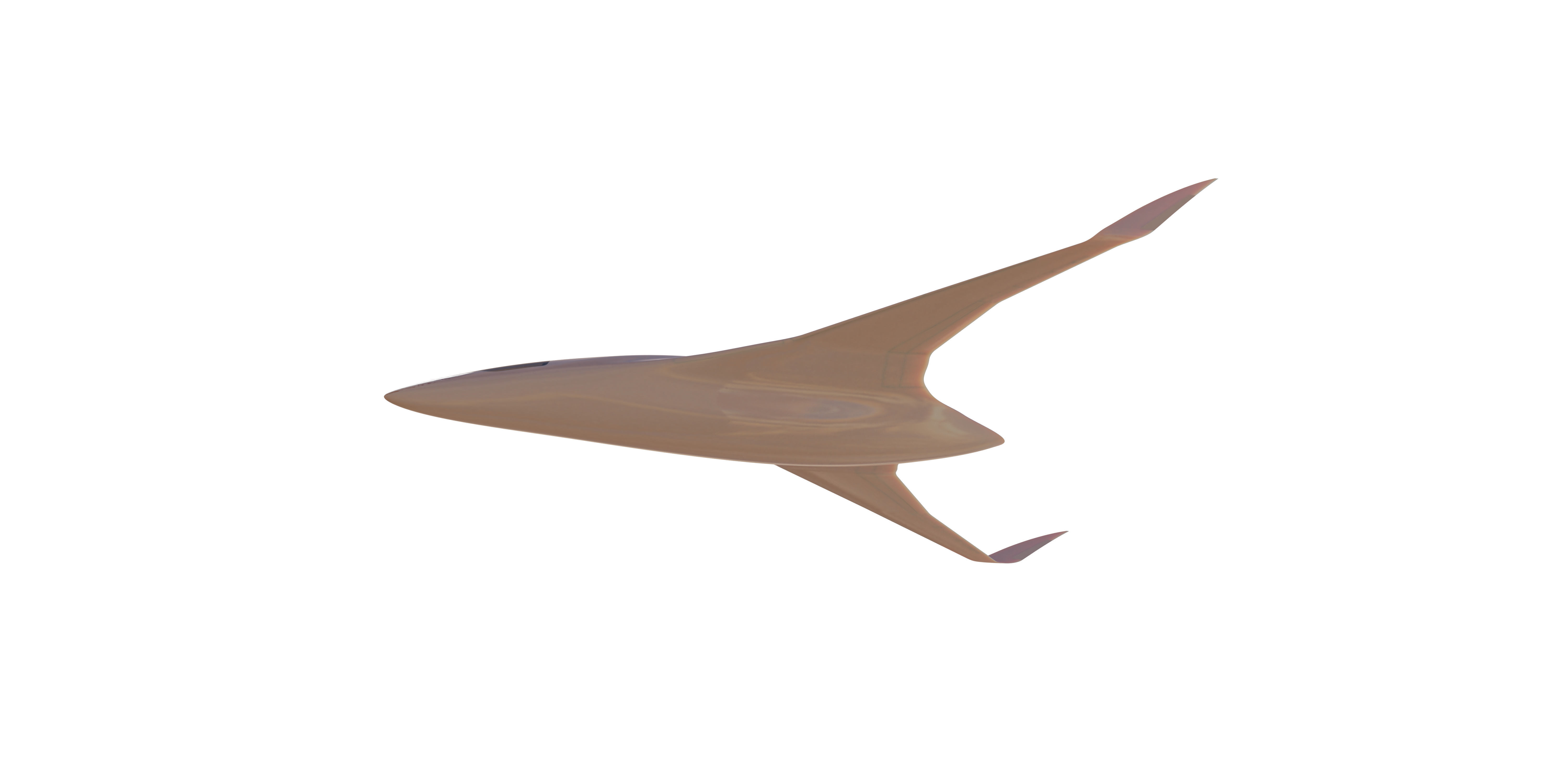 BWB X-Stream T 3D model_45