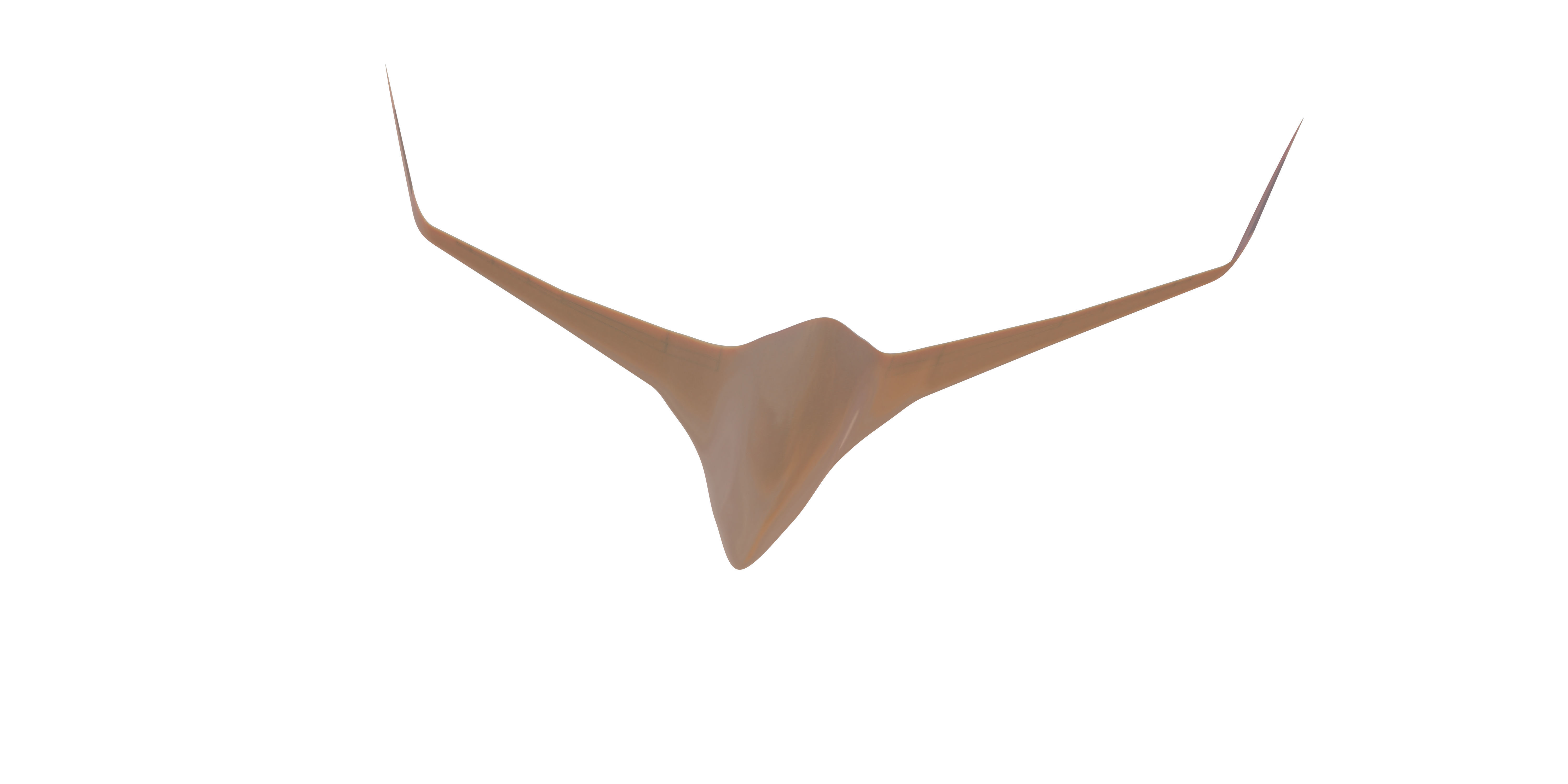 BWB X-Stream T 3D model_48