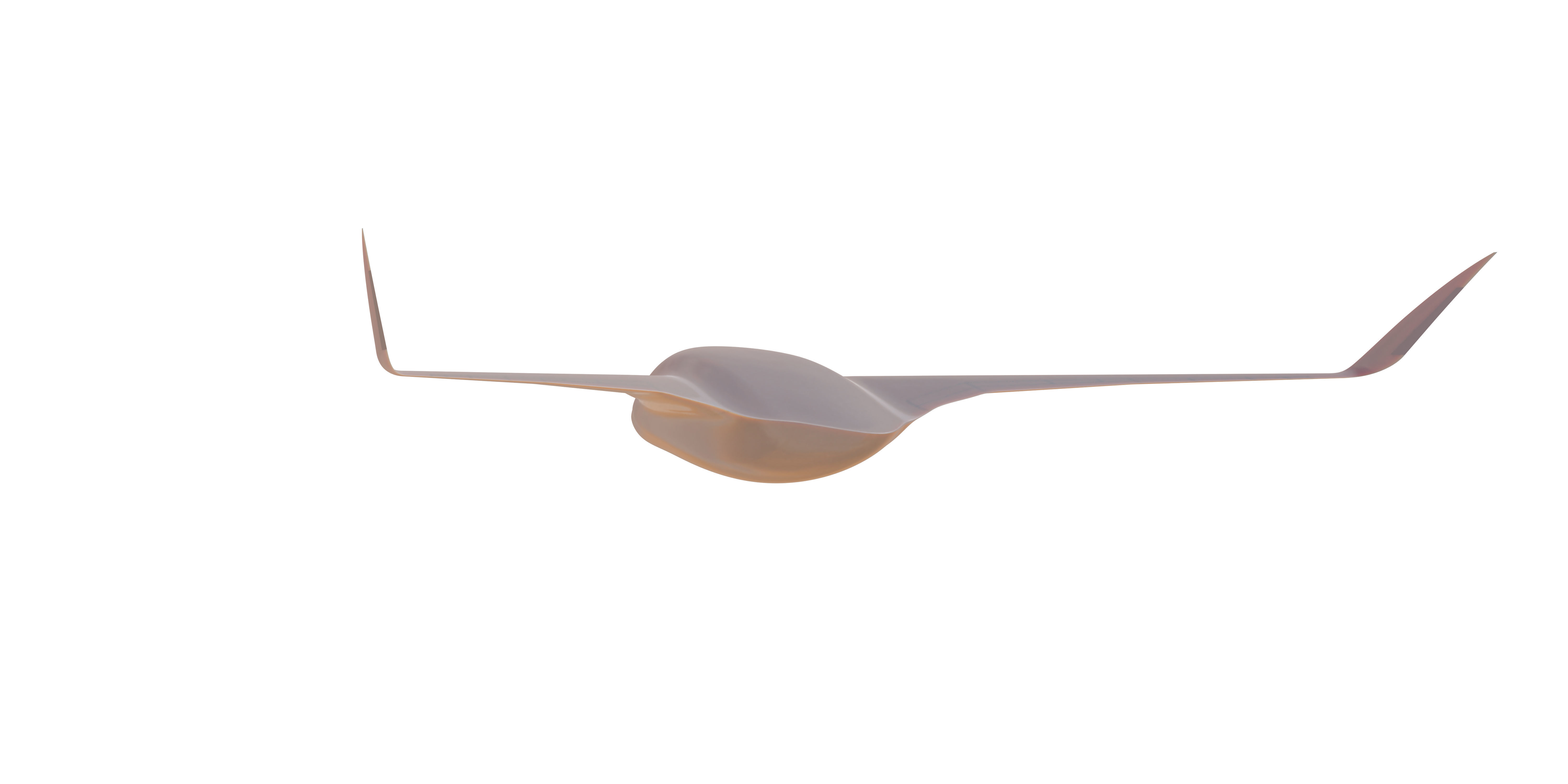 BWB X-Stream T 3D model_46