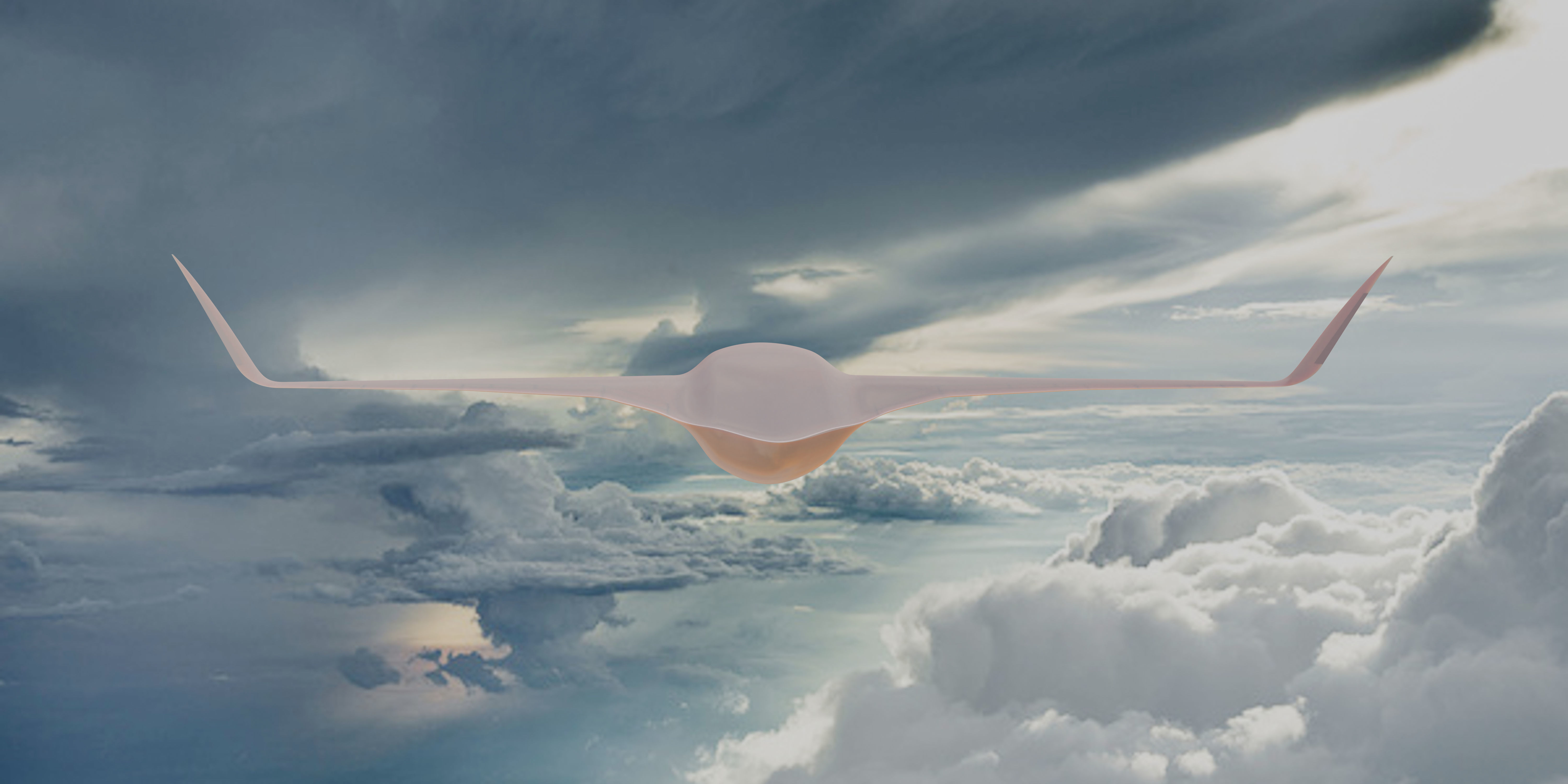 BWB X-Stream T 3D model_8