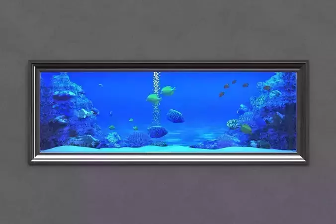 aquarium in frame