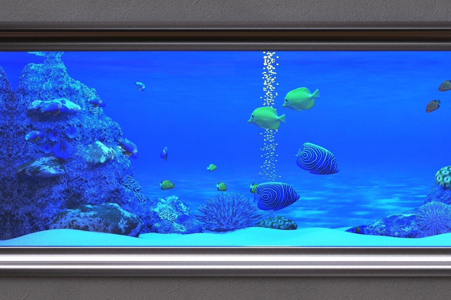 aquarium in frame 3D model_1