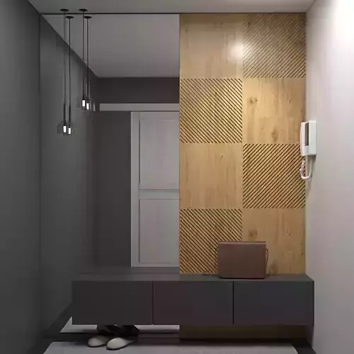 hallway modern entryway design