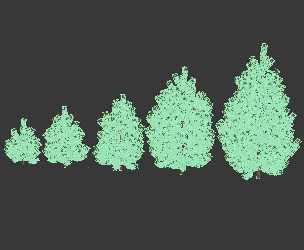 Pinus sylvestris Nr1 H1-3m 3D model_11