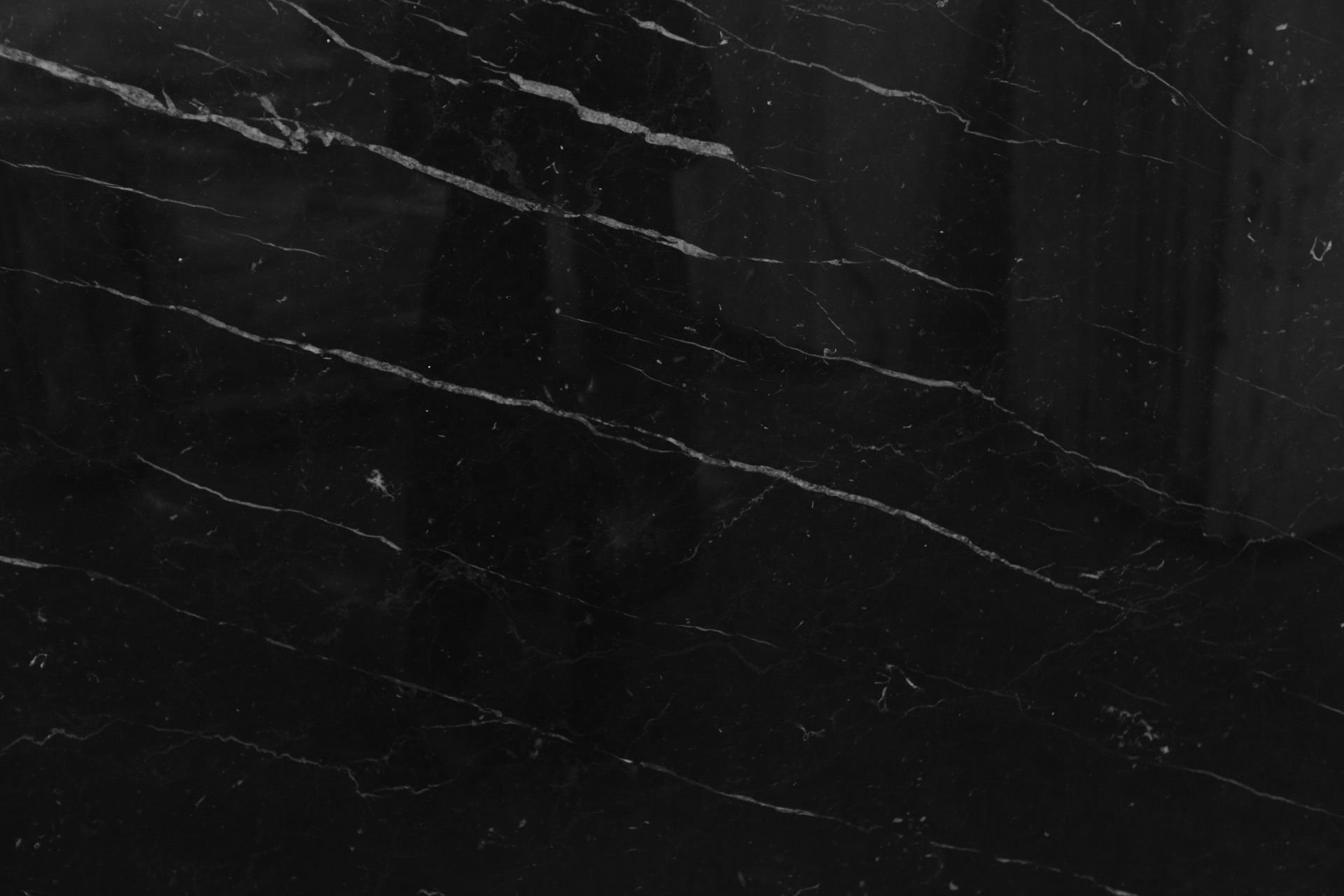 Black panther jumping 3D print model_12