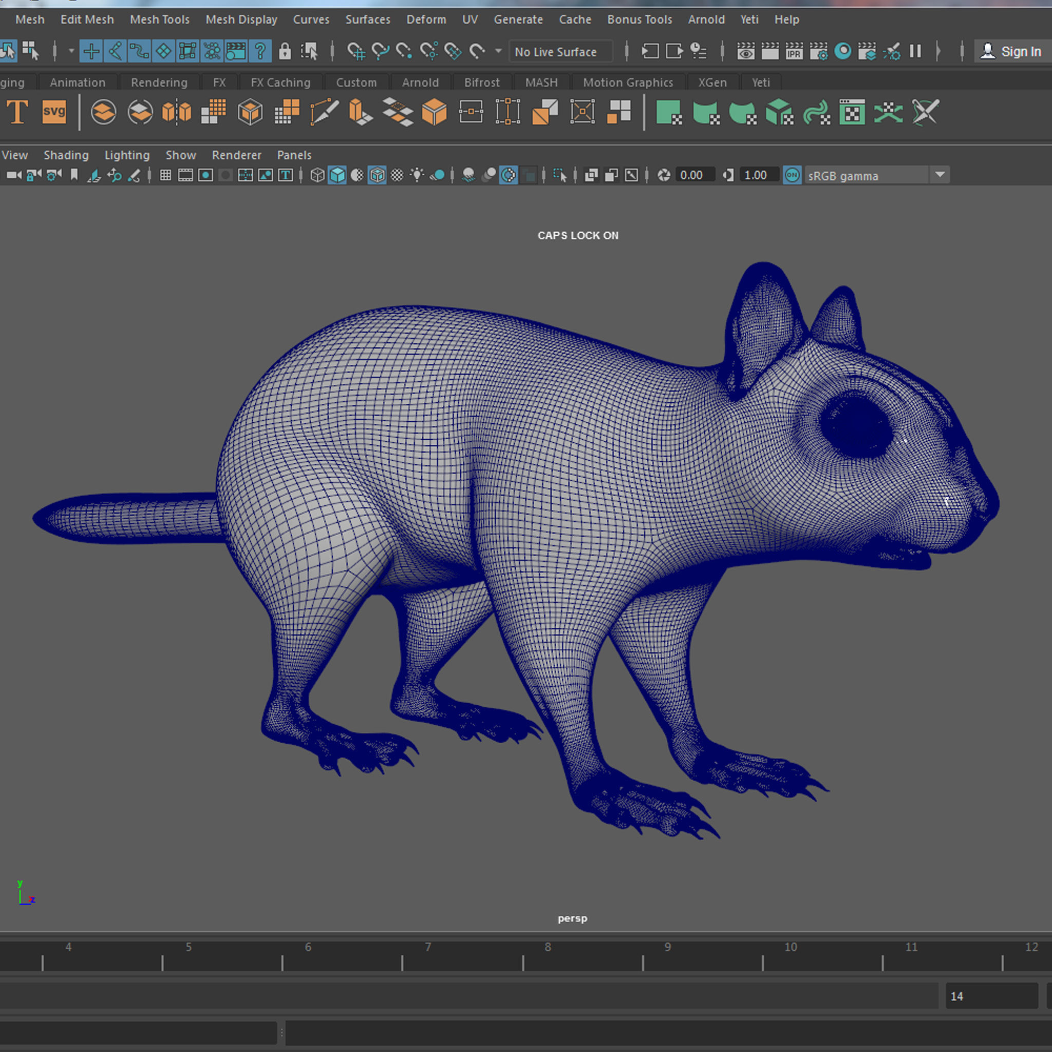 Squirrel Model in flight 3D model_12