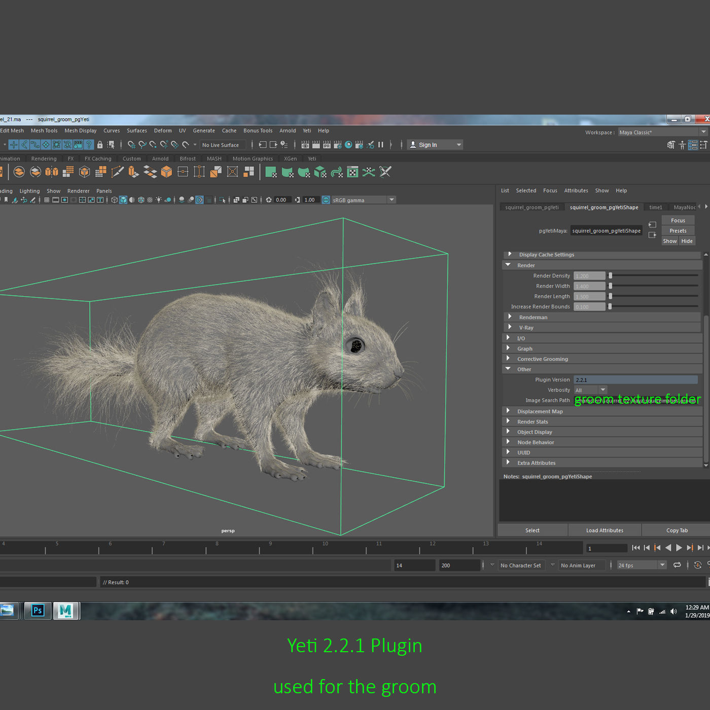 Squirrel Model in flight 3D model_9