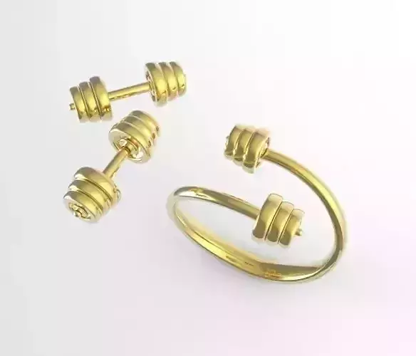 dumbbells gold plated door handle