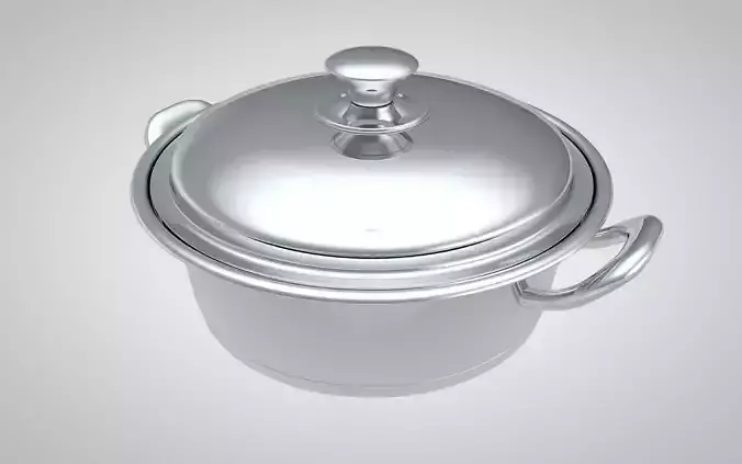 Stainless Steel Cooking Pot