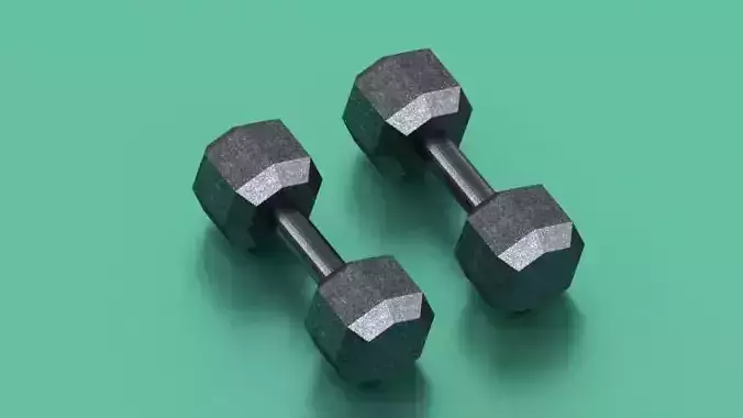 Dumbbells set pair of Low-poly 3D model
