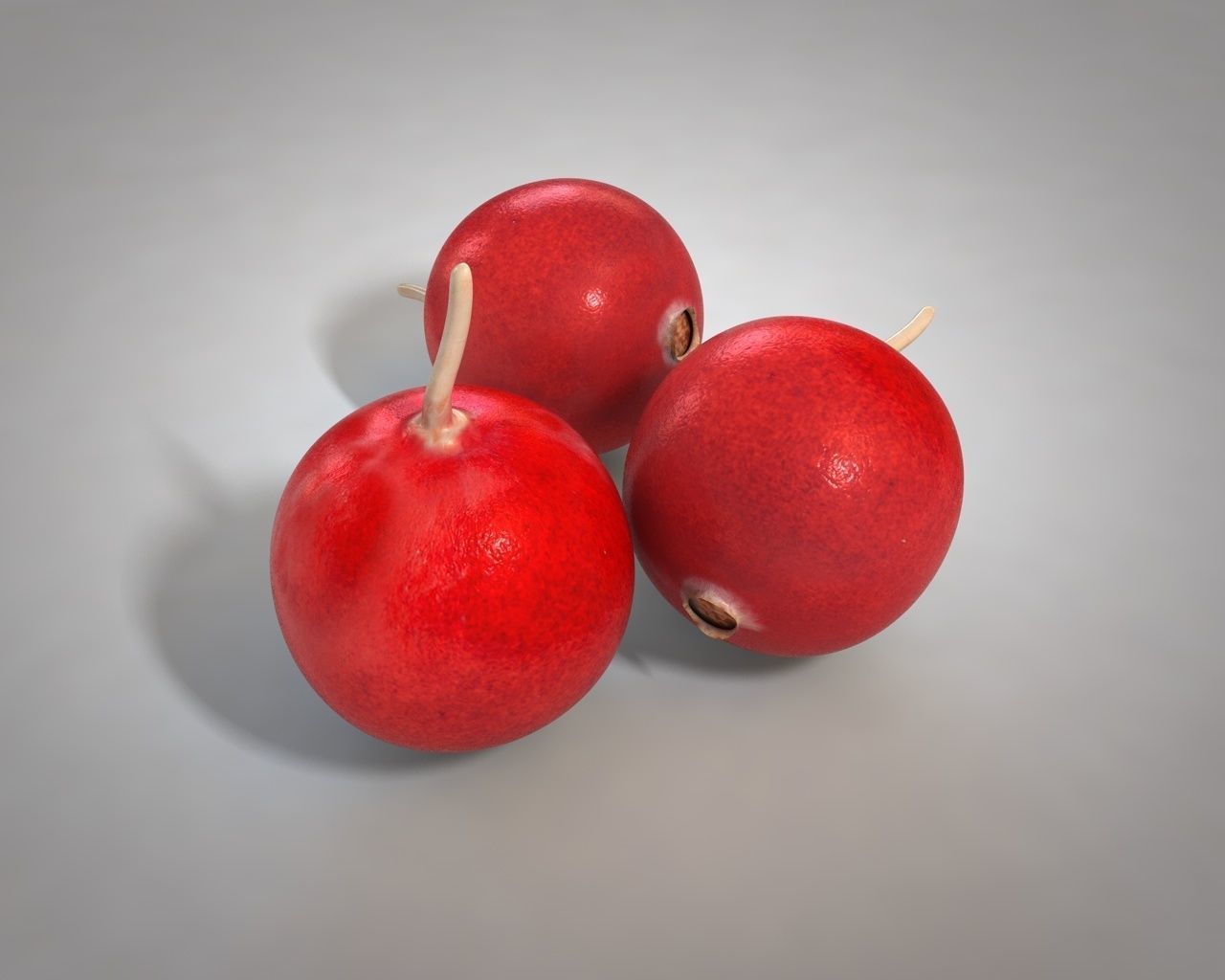 Crane berry Low-poly  3D model