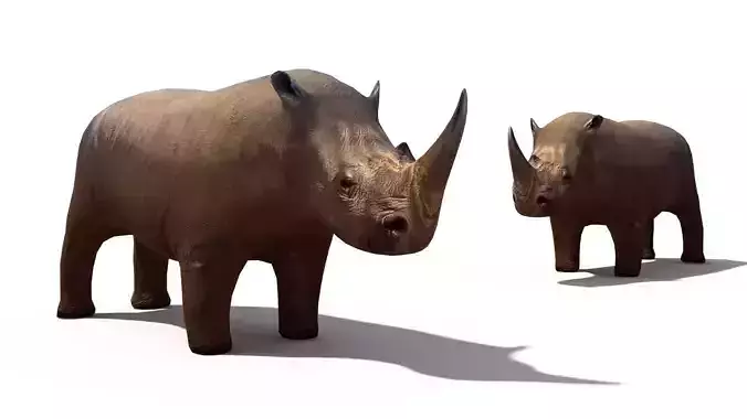 Rhino rhinoceros
