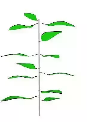 plant Low-poly 3D model