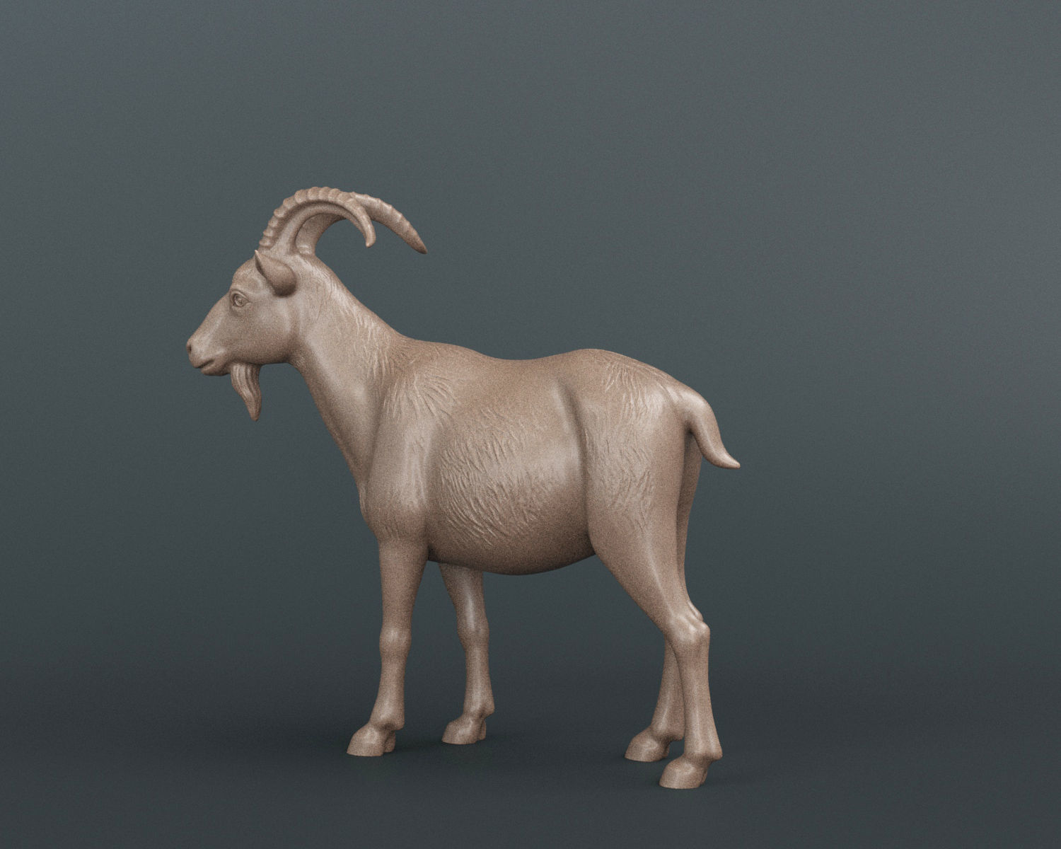 Mountain Goat 3D print model_1