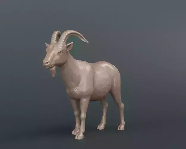 Mountain Goat 3D print model