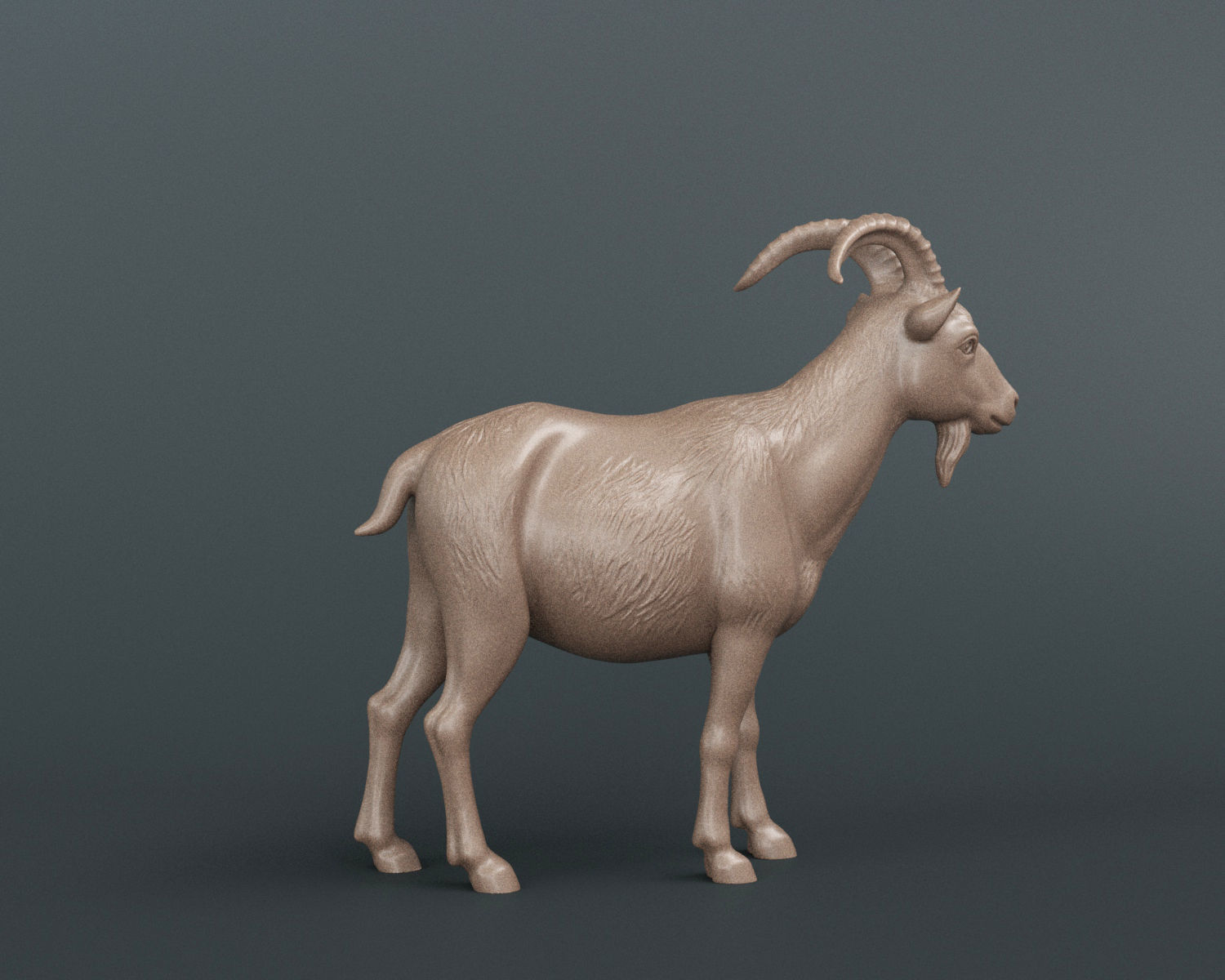 Mountain Goat 3D print model_3