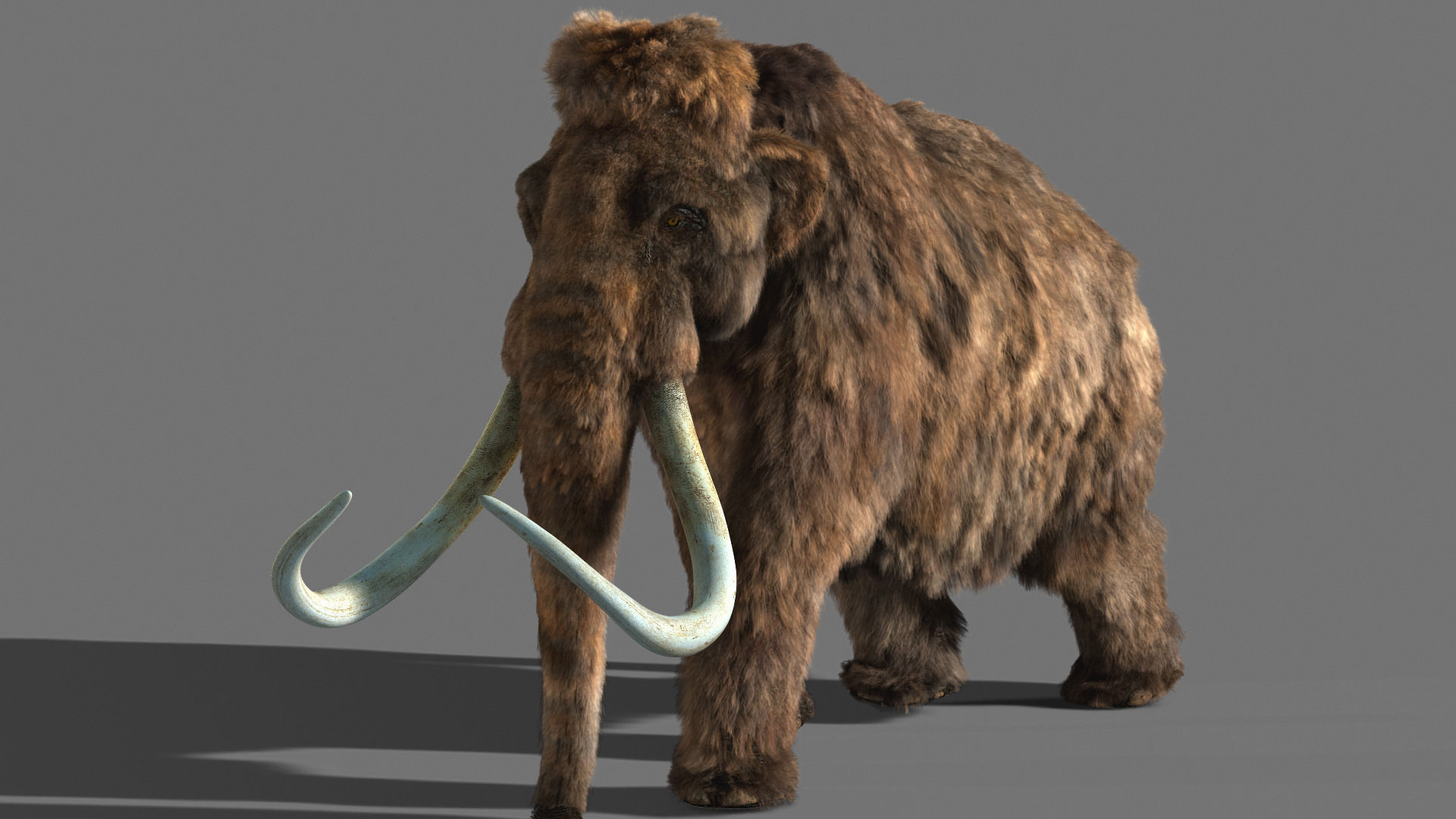 Mammoth woolly 3D model_8