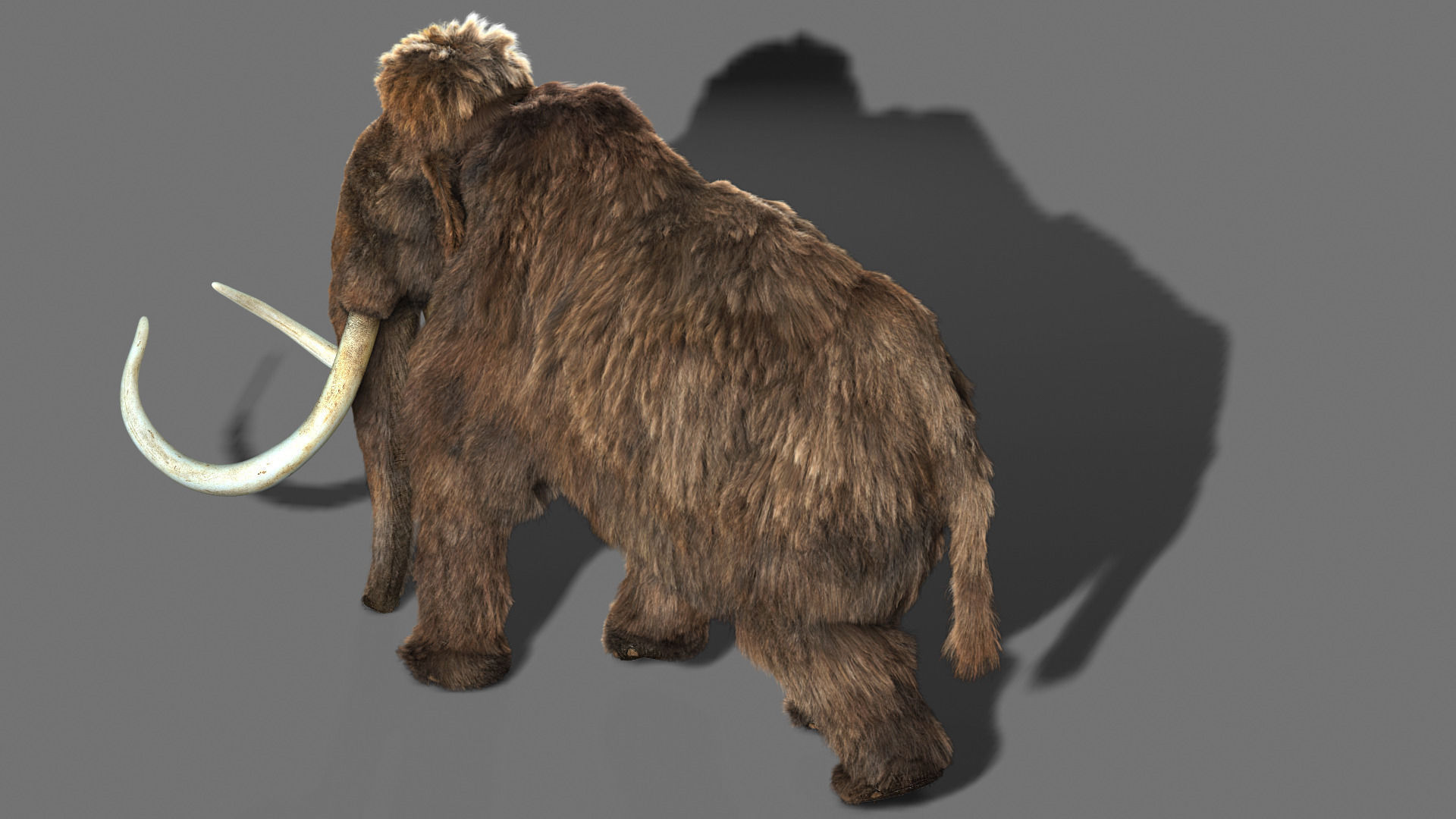 Mammoth woolly 3D model_2