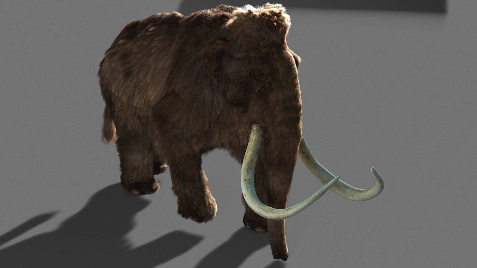 Mammoth woolly 3D model_1