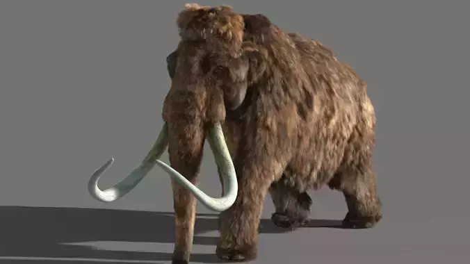 Mammoth woolly 3D model