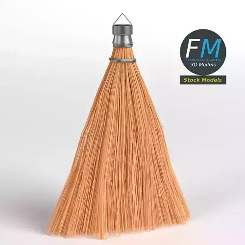 Whisk broom