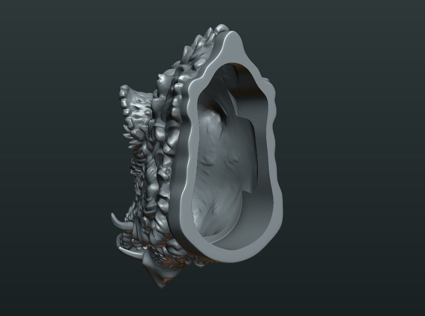 Wild Boar Mounted Head 3D print model_14