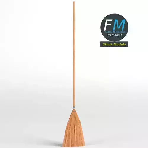 Shaker broom