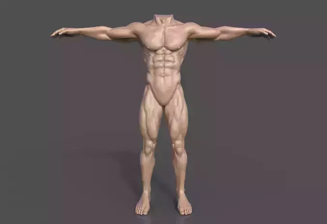 Human Male Body Fantasy Sculpt