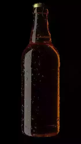Beer Bottle Condensation