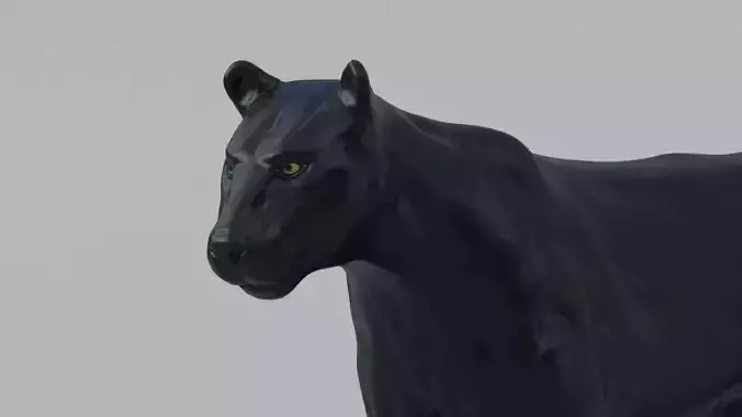 Black Panther